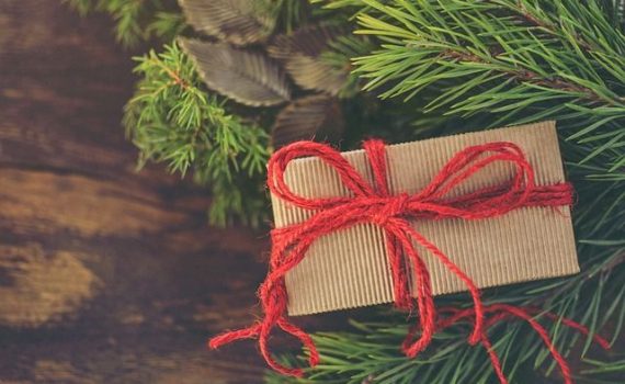 Bubenheimer Spieleland Gutschein Jahreskarte