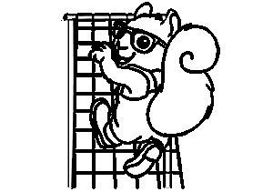 Bubenheim Bubi
