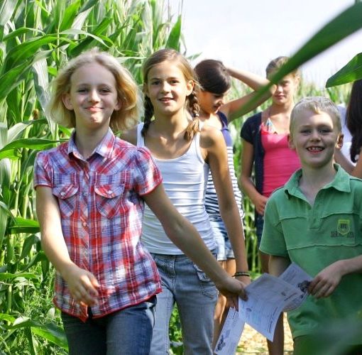 Maislabyrinth Bubenheimer Spieleland